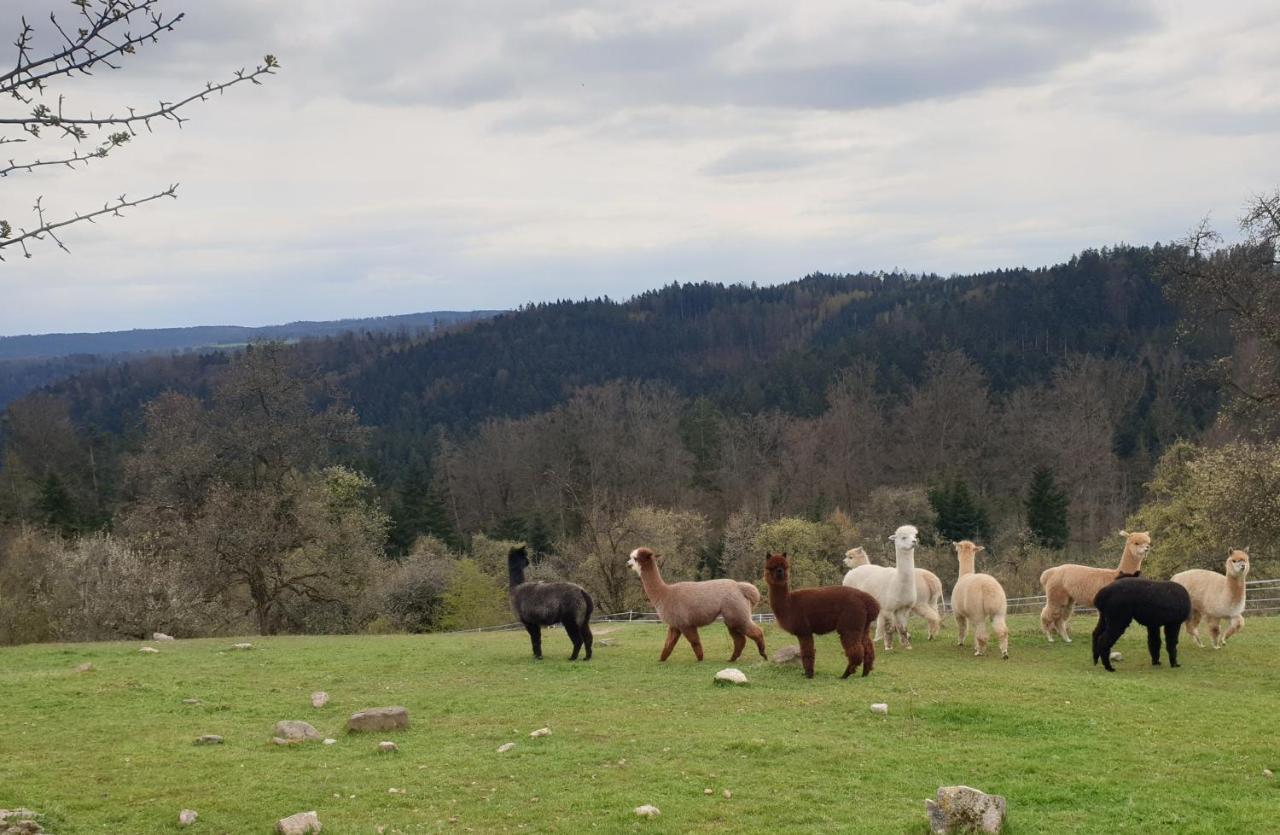 Lana Salta Alpakas - Gemuetliche Ferienwohnungen Auf Dem Bauernhof Murrhardt Exteriér fotografie