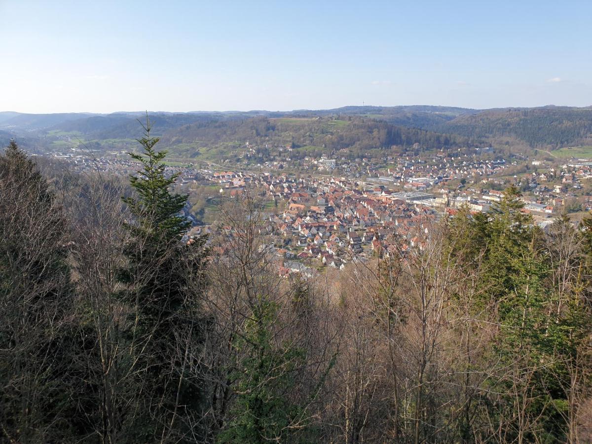 Lana Salta Alpakas - Gemuetliche Ferienwohnungen Auf Dem Bauernhof Murrhardt Exteriér fotografie