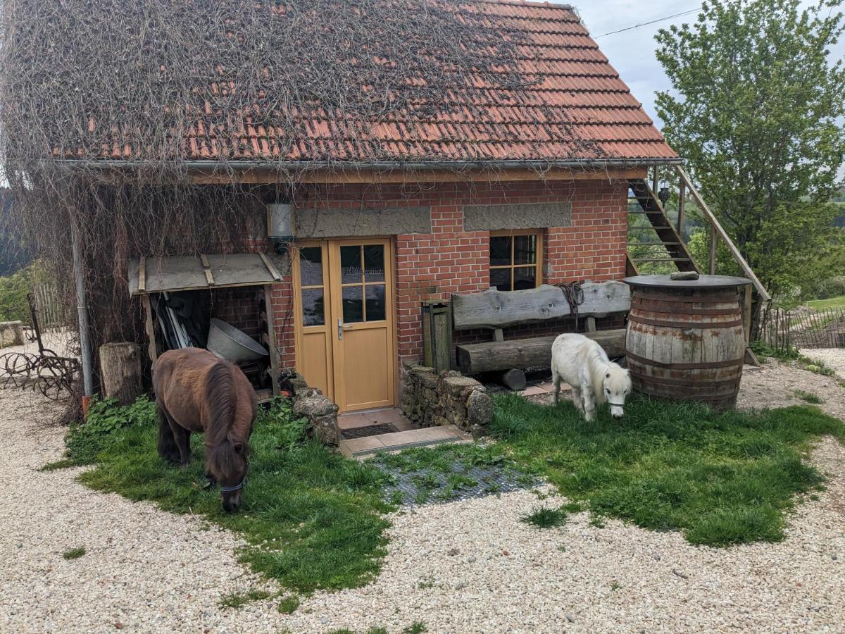 Lana Salta Alpakas - Gemuetliche Ferienwohnungen Auf Dem Bauernhof Murrhardt Exteriér fotografie