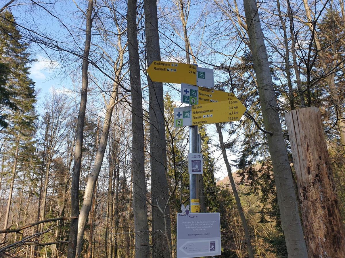 Lana Salta Alpakas - Gemuetliche Ferienwohnungen Auf Dem Bauernhof Murrhardt Exteriér fotografie